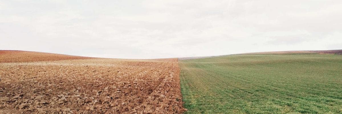 Étudiants sur un campus à Lomé